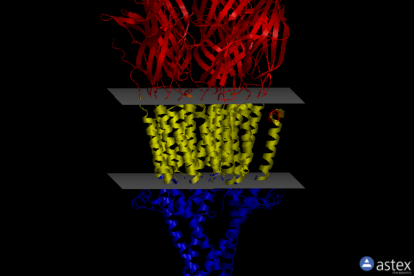 Membrane view of 7smr
