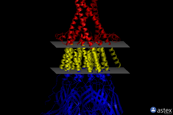 Membrane view of 7sms