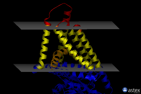 Membrane view of 7sp7