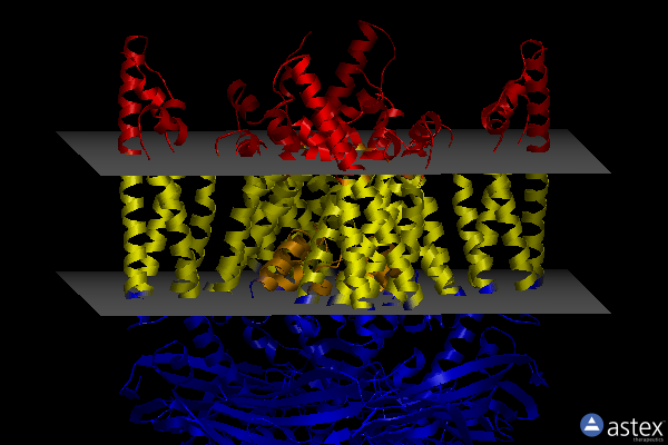 Membrane view of 7sq6