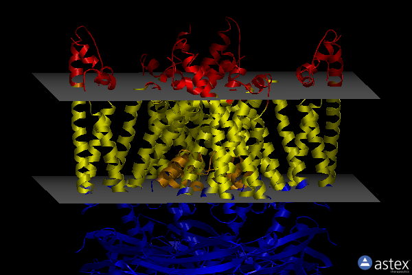 Membrane view of 7sq7