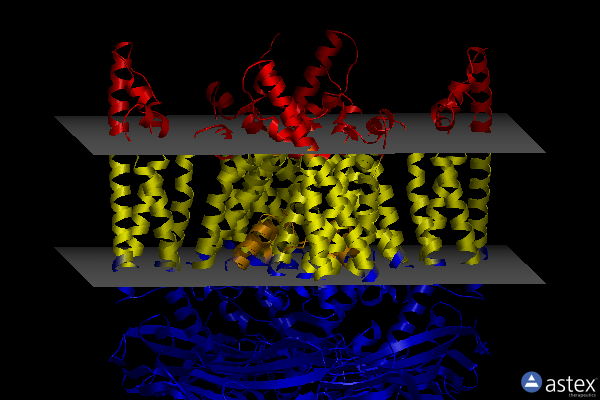 Membrane view of 7sq9