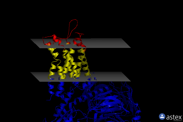 Membrane view of 7srr