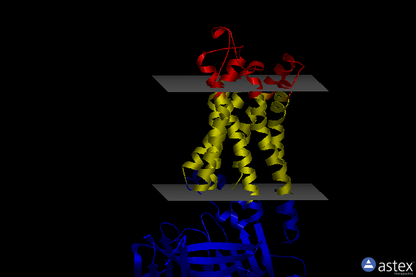 Membrane view of 7srs