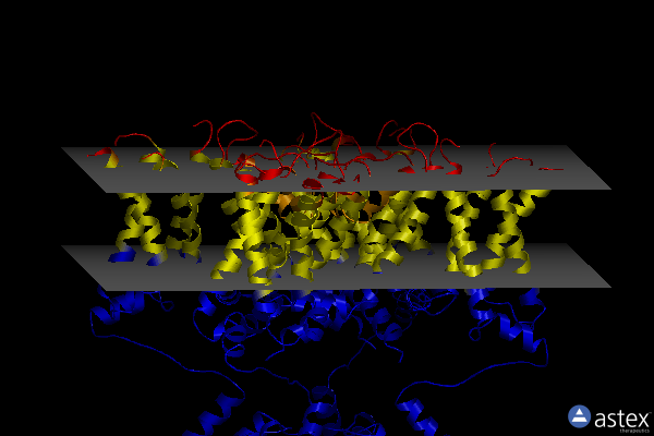 Membrane view of 7ssv