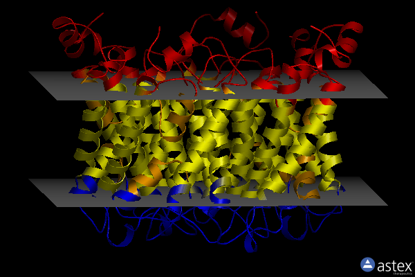 Membrane view of 7stc