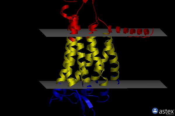 Membrane view of 7sus
