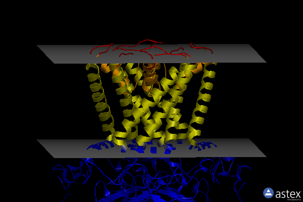 Membrane view of 7swj
