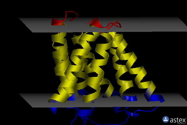 Membrane view of 7t00