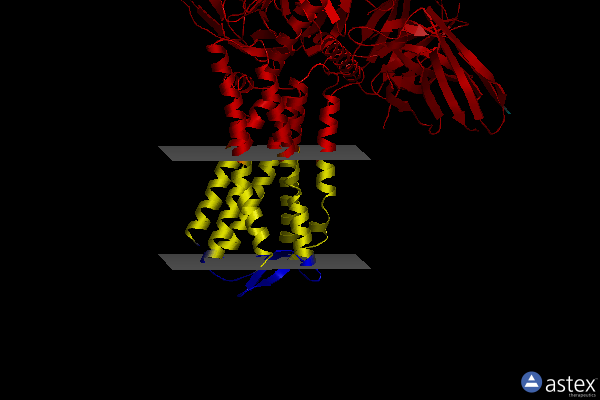 Membrane view of 7t11
