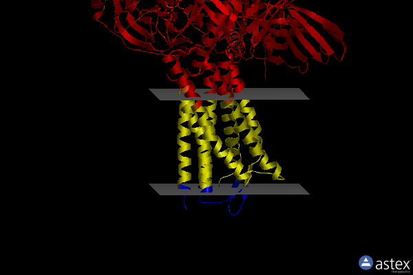 Membrane view of 7t2h