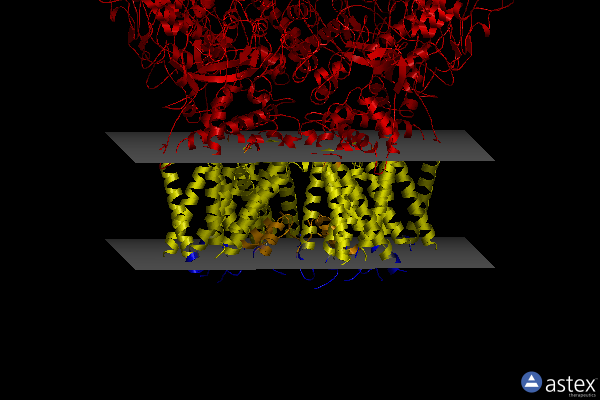 Membrane view of 7t38