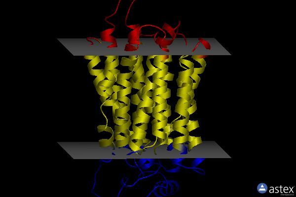 Membrane view of 7t3n