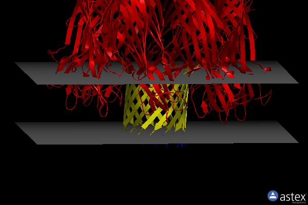 Membrane view of 7t4e