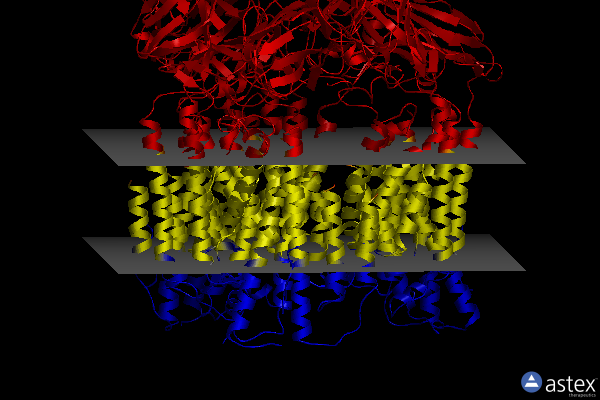 Membrane view of 7t4o