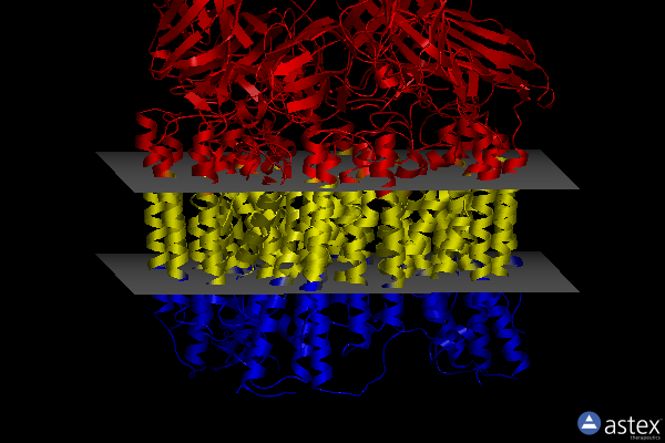 Membrane view of 7t4p