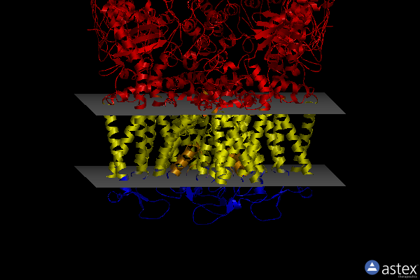 Membrane view of 7t6n