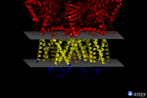 Membrane view of 7t6p