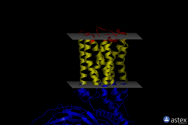 Membrane view of 7t8x
