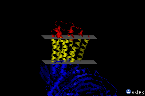 Membrane view of 7t90