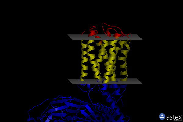 Membrane view of 7t94