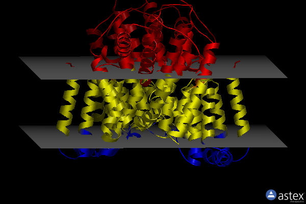 Membrane view of 7t9g