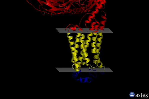 Membrane view of 7td0
