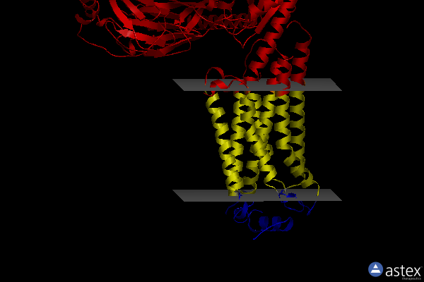 Membrane view of 7td3