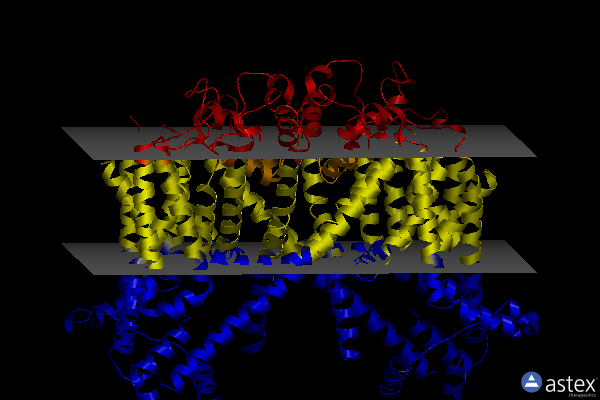 Membrane view of 7tdd