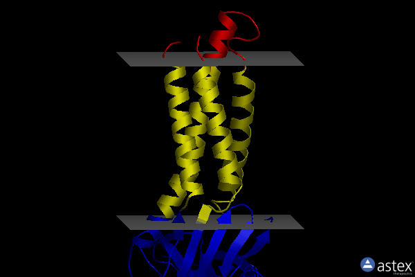 Membrane view of 7tdn