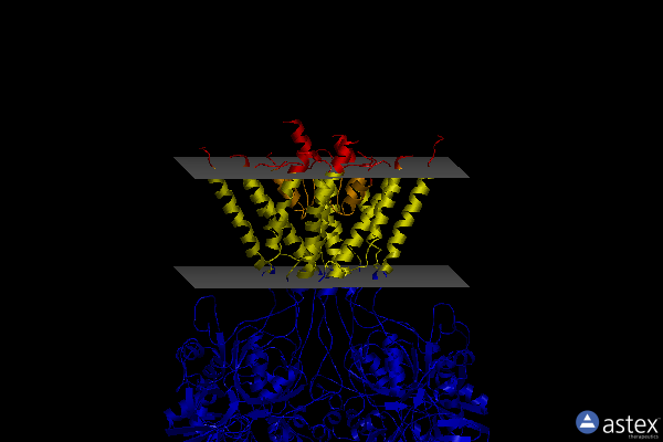 Membrane view of 7te9