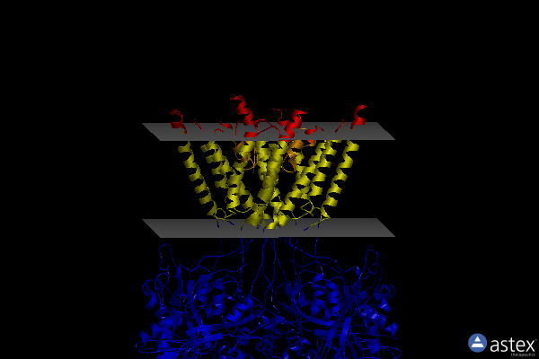 Membrane view of 7tes