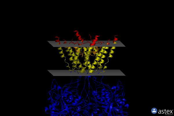 Membrane view of 7tet