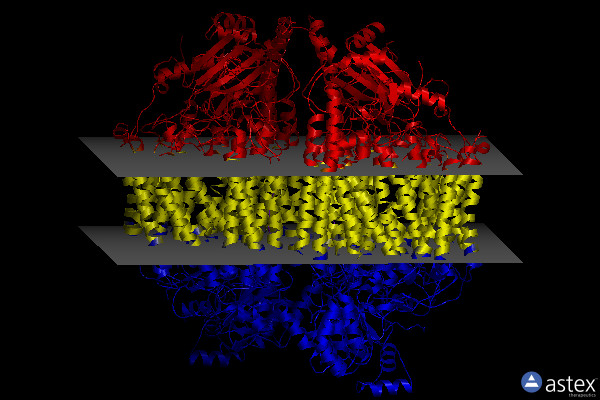 Membrane view of 7tie
