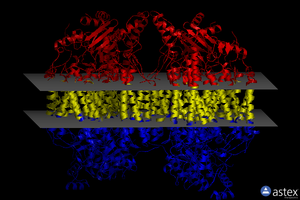 Membrane view of 7tih