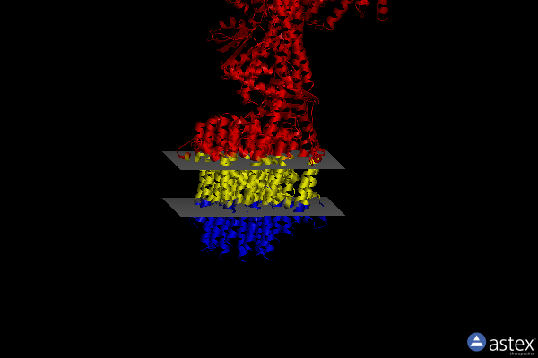 Membrane view of 7tk8