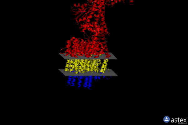 Membrane view of 7tk9
