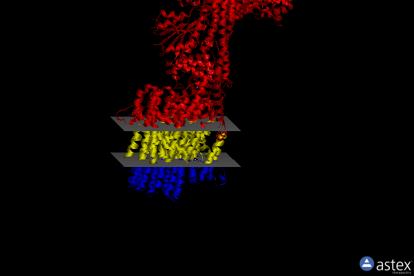 Membrane view of 7tka