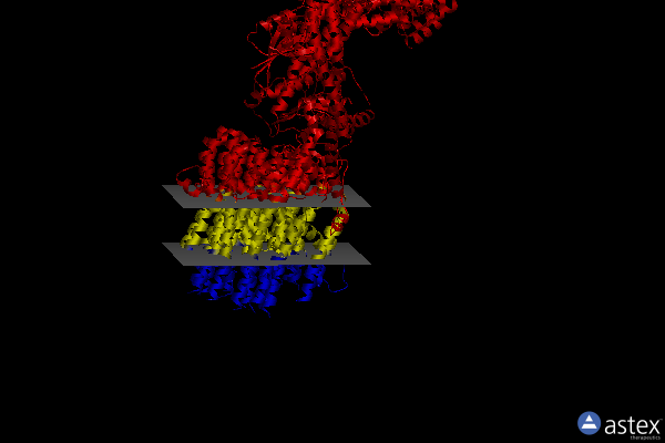 Membrane view of 7tke