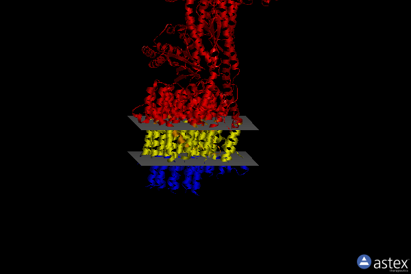 Membrane view of 7tkr