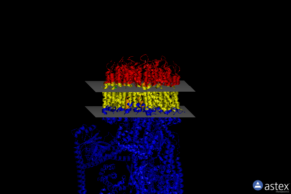 Membrane view of 7tmr