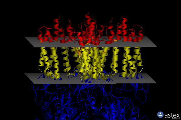 Membrane view of 7tnl