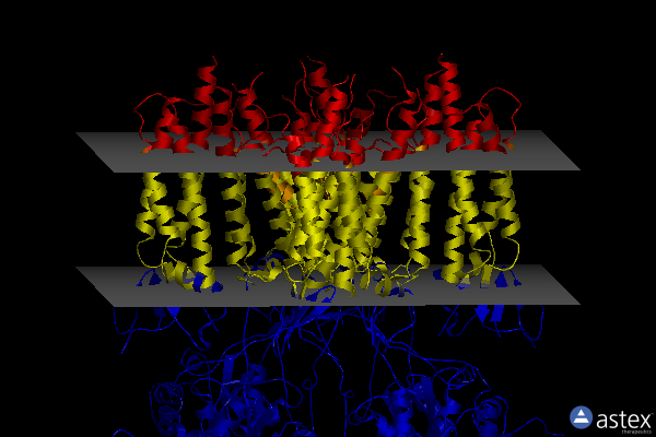 Membrane view of 7tnp