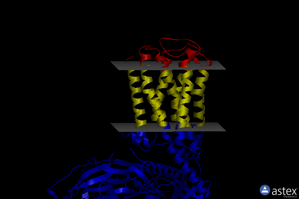 Membrane view of 7trk