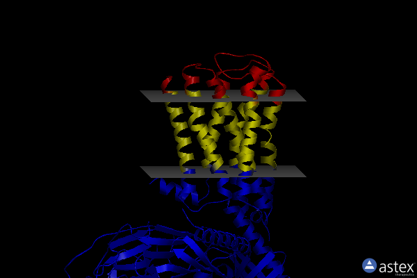 Membrane view of 7trq