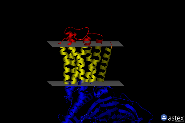 Membrane view of 7trs