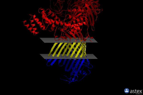 Membrane view of 7tsz
