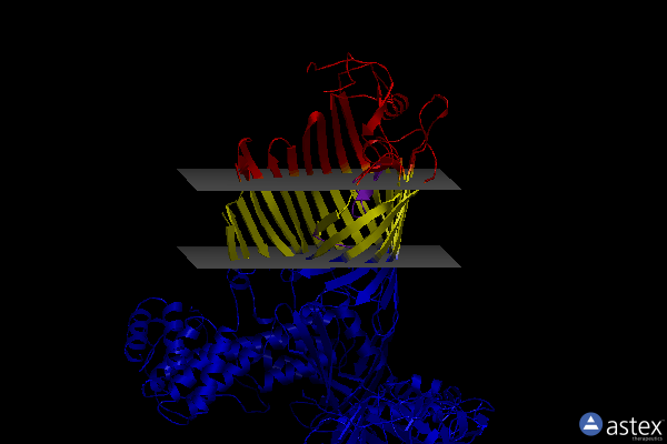 Membrane view of 7tt3