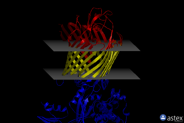 Membrane view of 7tt6
