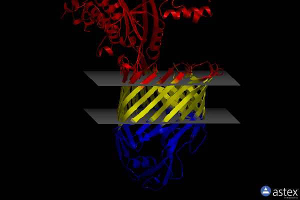 Membrane view of 7tt7